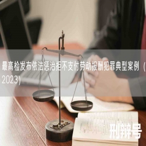最高检发布依法惩治拒不支付劳动报酬犯罪典型案例（2023）