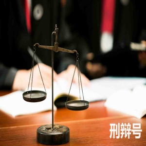 广东省高级人民法院立案庭关于规范审查再审申请与再审立案的若干意见(试行)