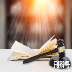 刑事诉讼公安机关,人民检察院和法院案件管辖分工的规定